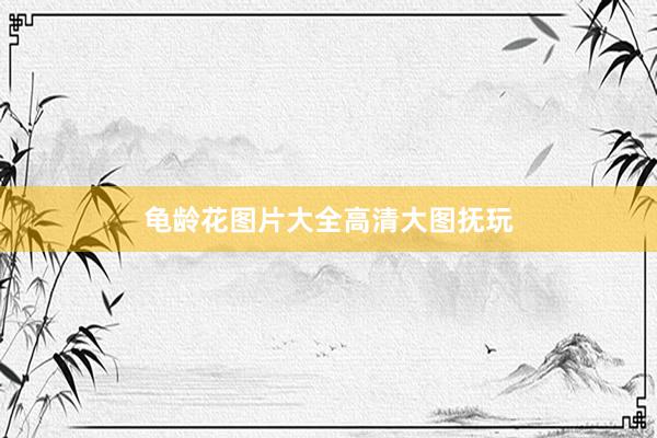 龟龄花图片大全高清大图抚玩